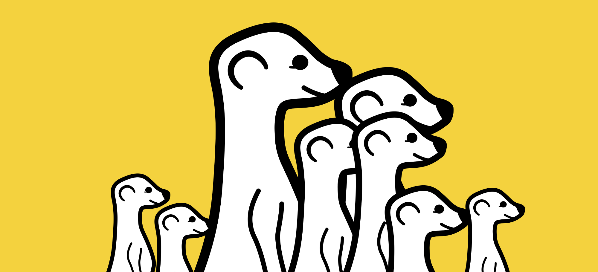 meerkat placeholder