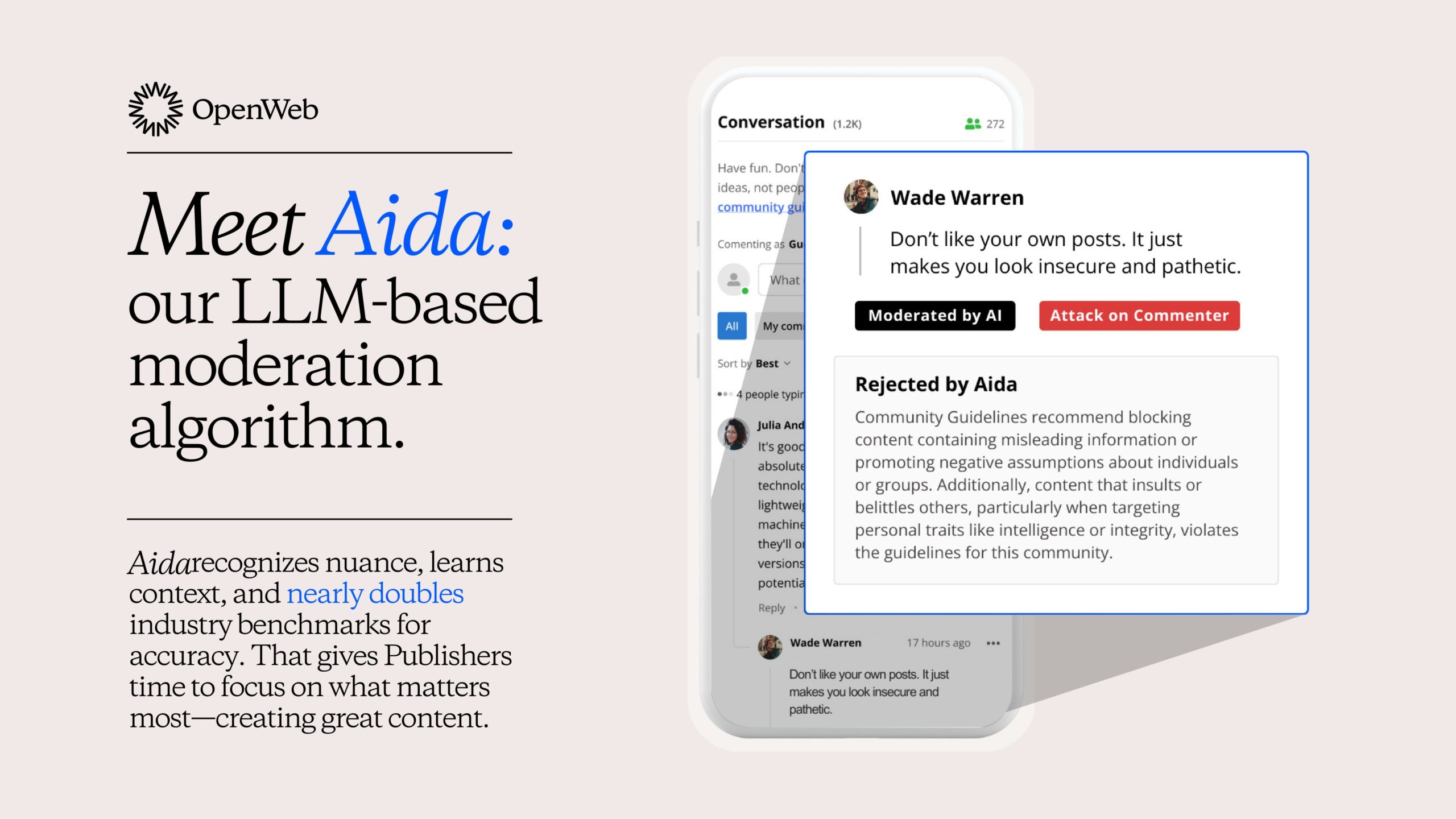 Aida website preview
